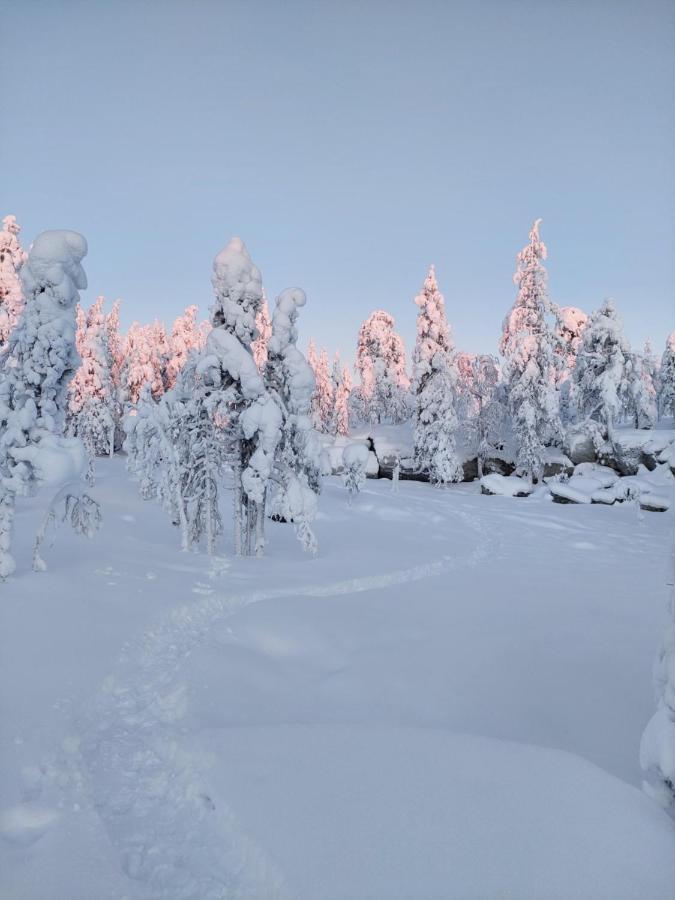 Villa Latvus Rovaniemi Extérieur photo