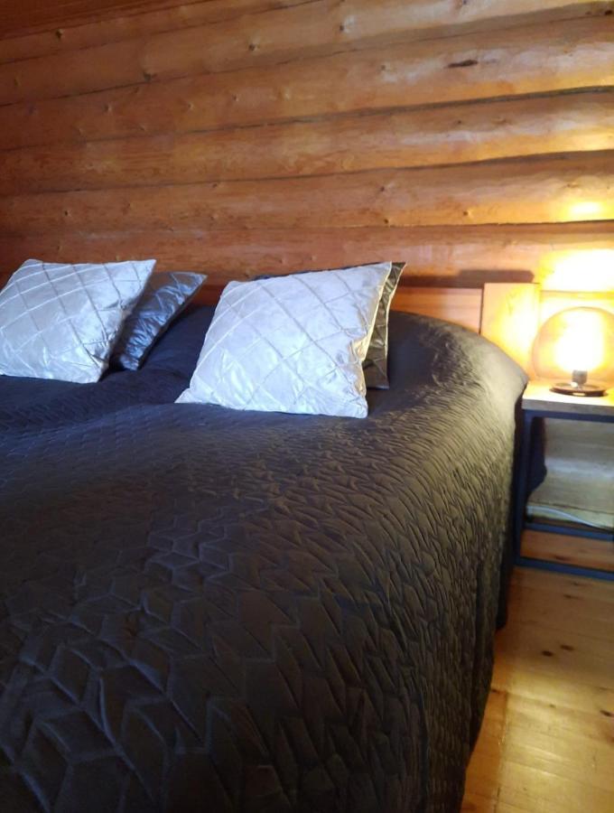 Villa Latvus Rovaniemi Extérieur photo